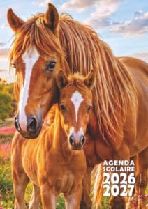 agenda scolaire cheval poulain 2026 2027 chevaux