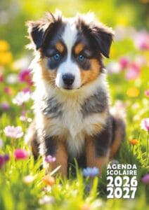 agenda scolaire chiot berger australien 2026 2027 chien
