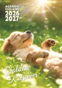 agenda scolaire golden retriever 2026 2027 chiot chien